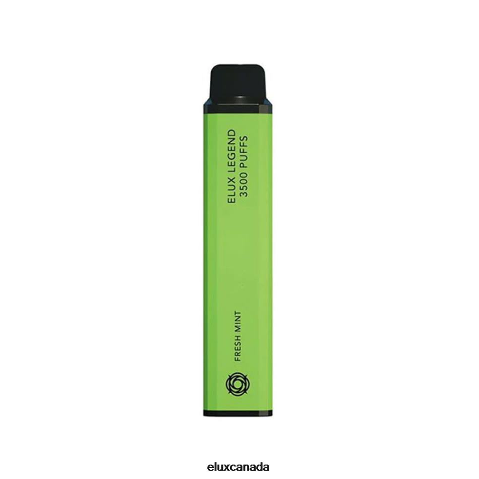 Fresh Mint
