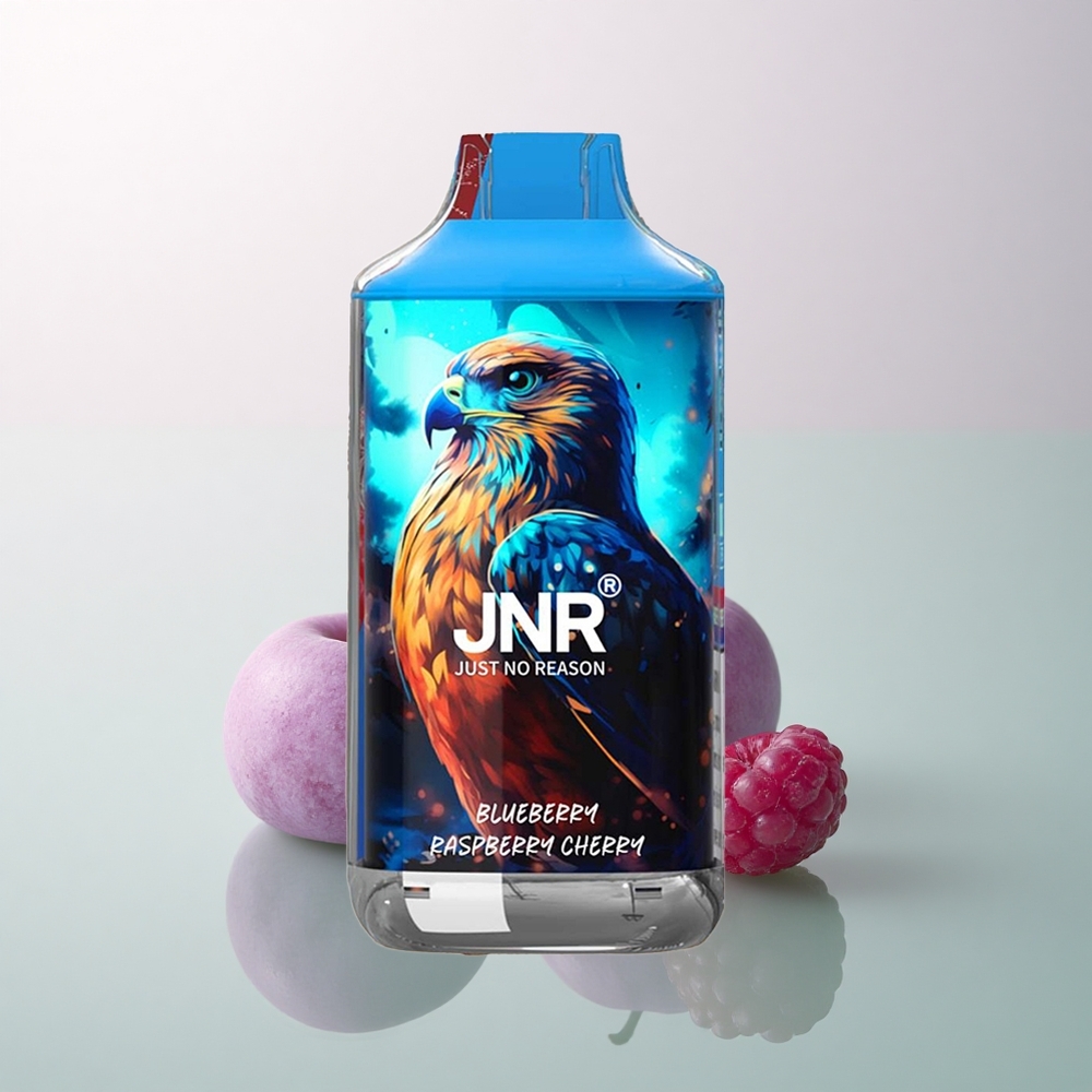 JNR Falcon 16000 Blueberry Raspberry Cherry 850mAh 22ml Dual Mesh Nicotine 0% 2%