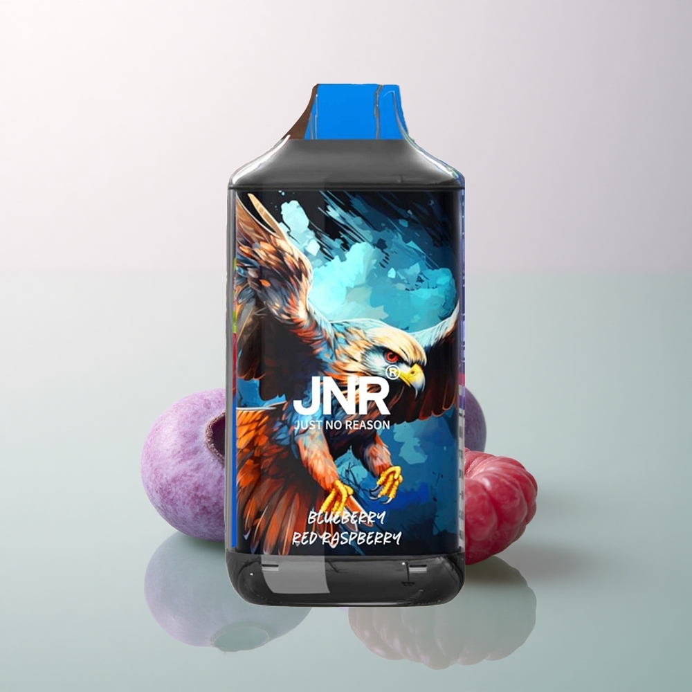 JNR Falcon 16000 Blueberry Red Raspberry Dual Mesh 850mAh Nicotine 0% 2%