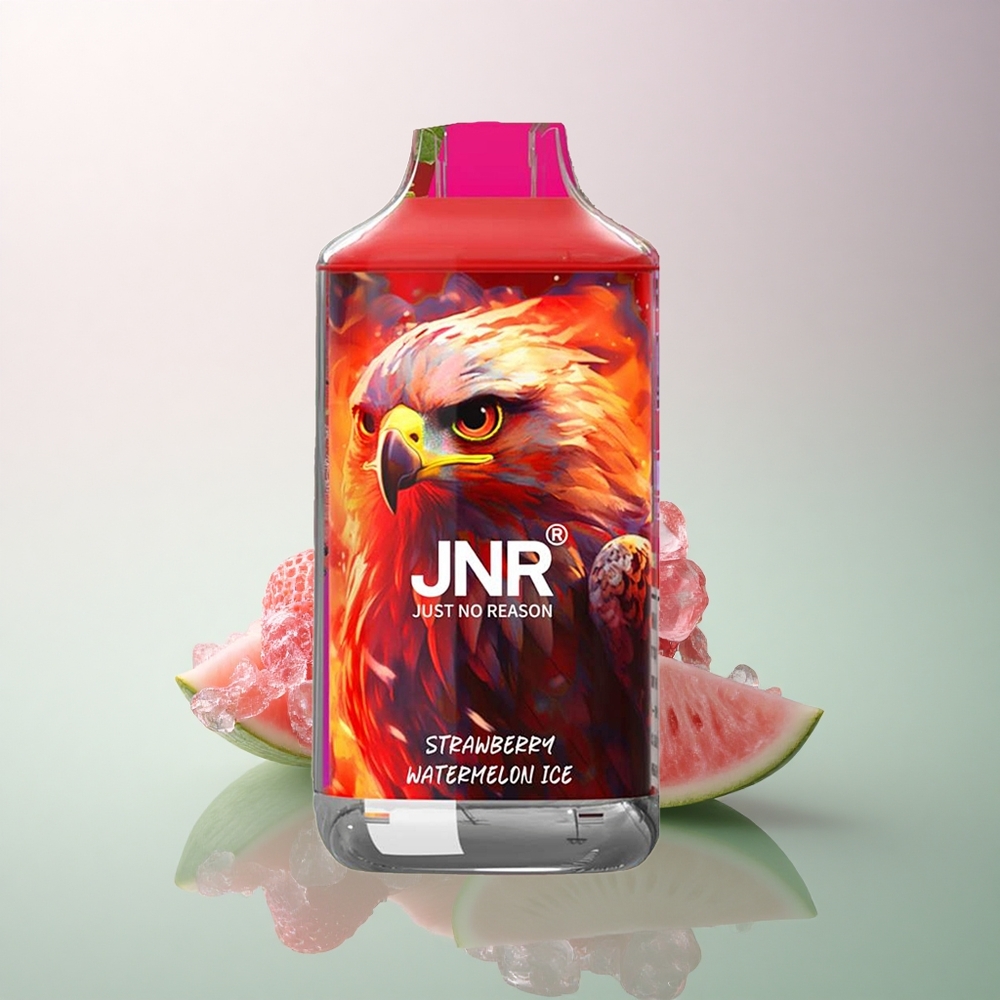JNR Falcon 16000 Strawberry Watermelon Ice 850mAh Dual Mesh 22ml