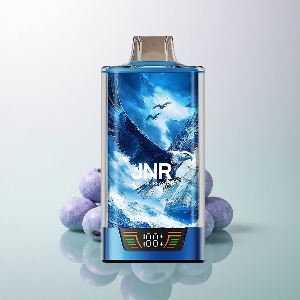 JNR Falcon Pro 28000 Blueberry Ice 30ml 950mAh 5% Nicotine