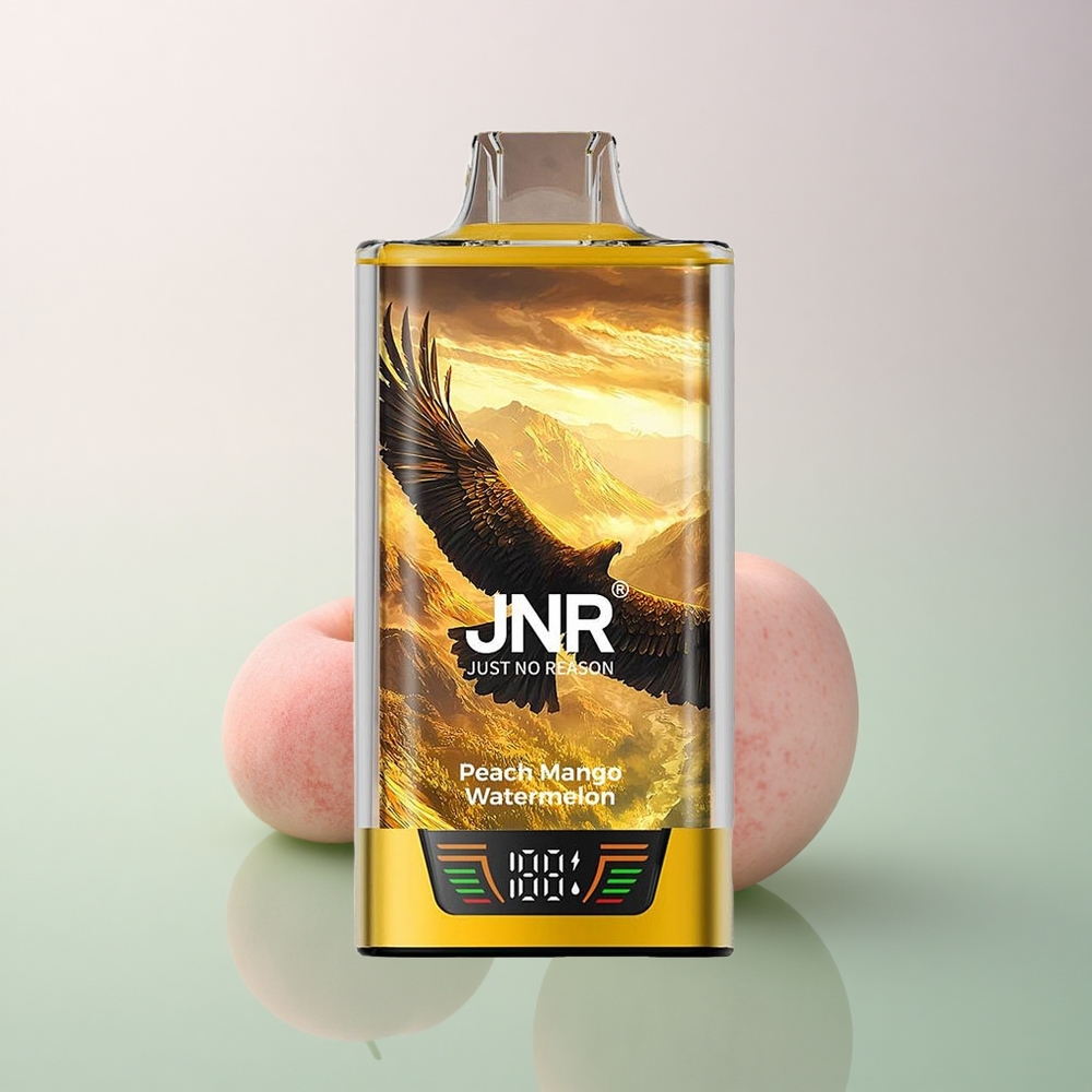JNR Falcon Pro 28000 Peach Mango Watermelon 30ml 950mAh 5% Nicotine
