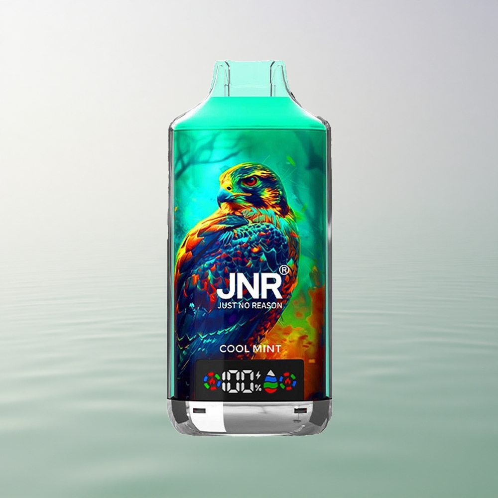 JNR Falcon X 18000 Cool Mint Dual Mesh 24ml 5% Nicotine