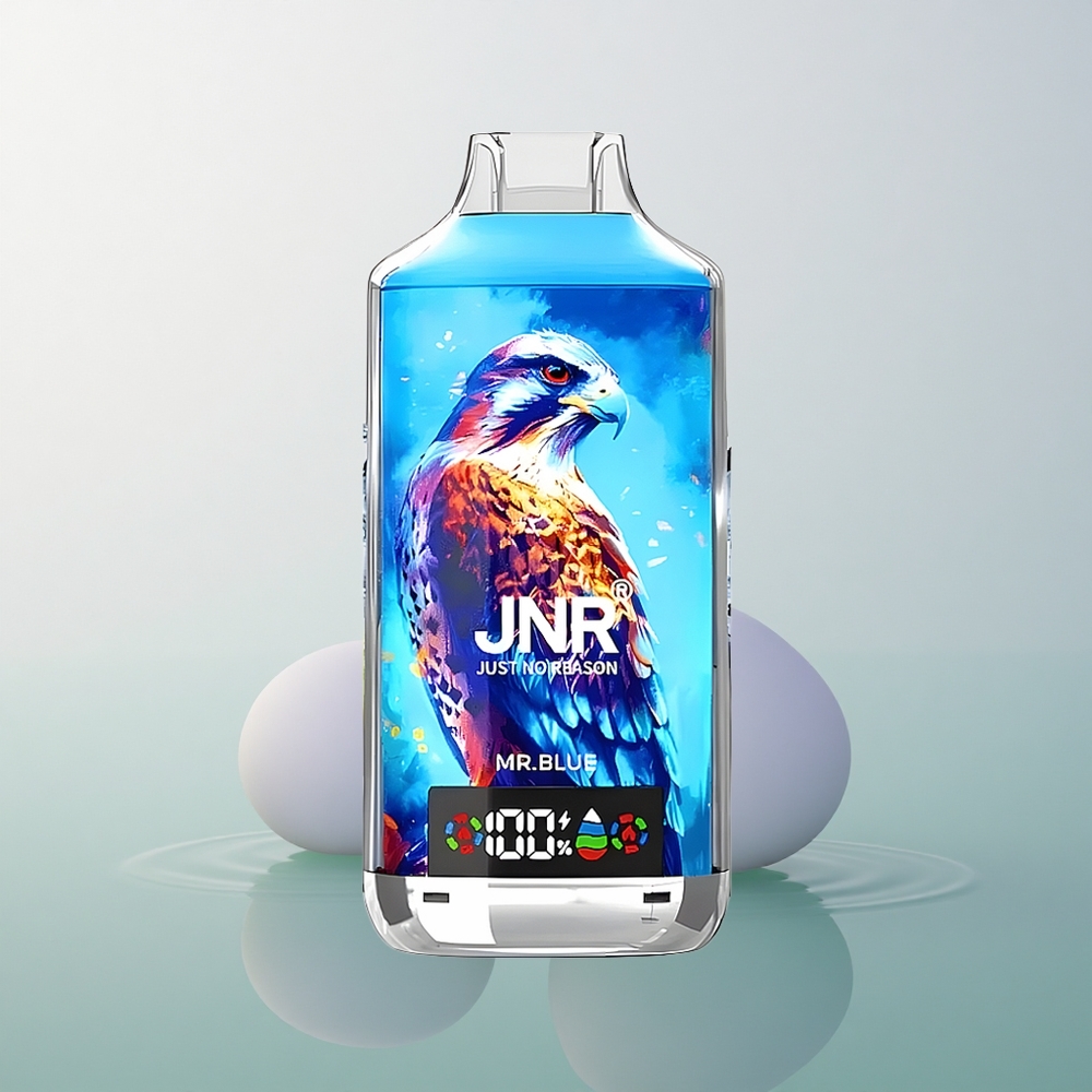 JNR Falcon X 18000 Mr. Blue 750mAh 24ml Dual Mesh Coil 5% Nicotine