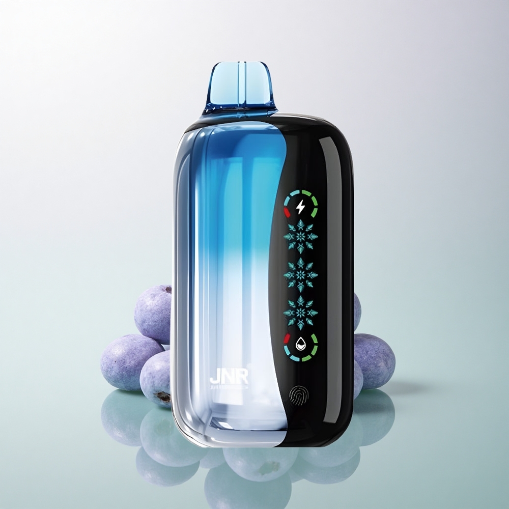 JNR Flex Ice 21000 Blueberry Ice Adjustable Airflow 1000mAh