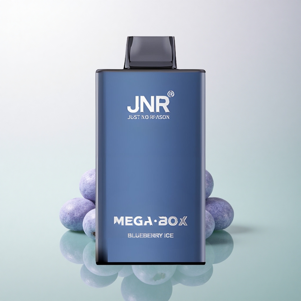 JNR Mega Box 25000 Blueberry Ice 850mAh Dual Mesh