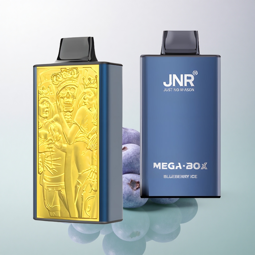 JNR Mega Box 25000 Blueberry Ice 850mAh Dual Mesh