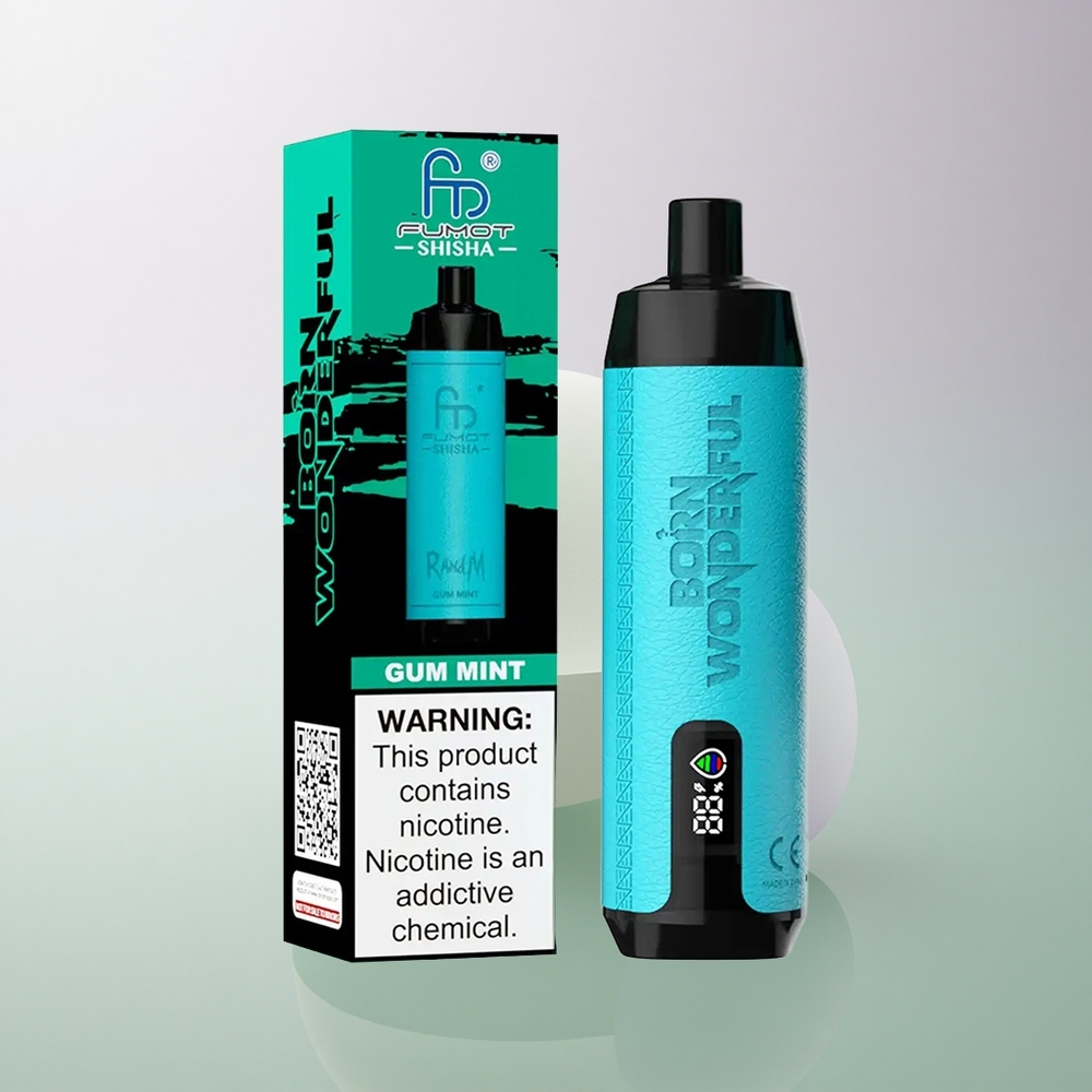 RandM Fumot Shisha 10000 Puffs Gum Mint 18ml 0.5% Nicotine 850mAh